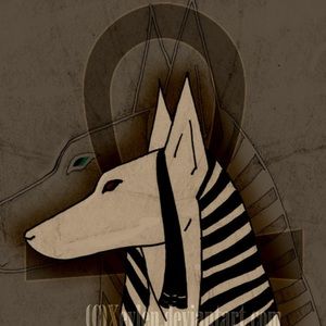 Meet your Posher, Gustavo